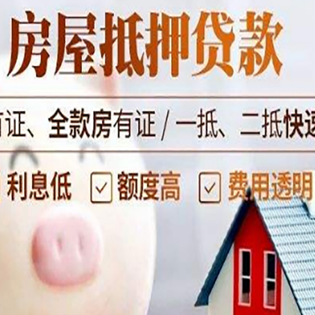 安仁贷款助贷公司新渝启服成立时间久
